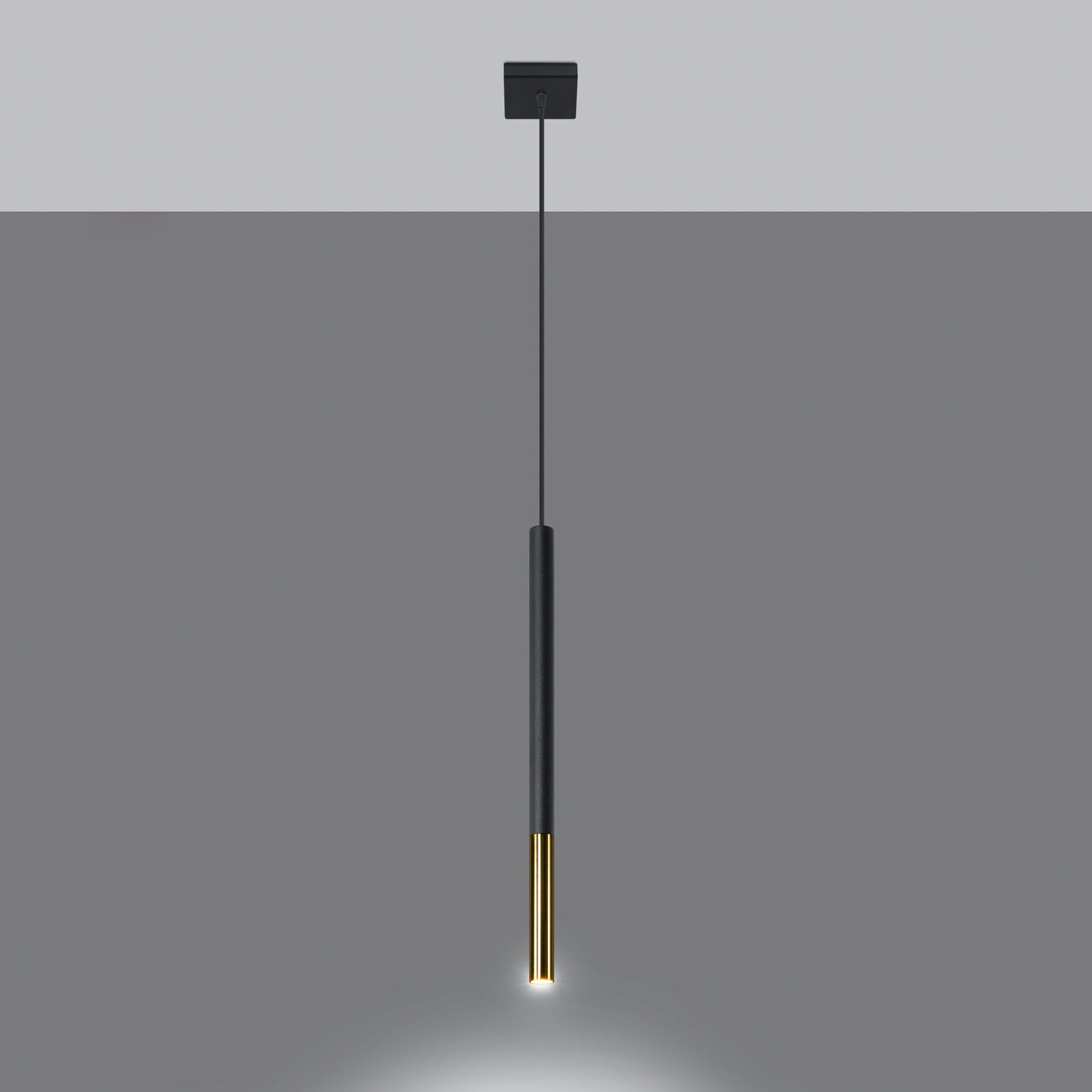 Závesná lampa Euluna Thalassa 1fl G9 čierna/zlatá