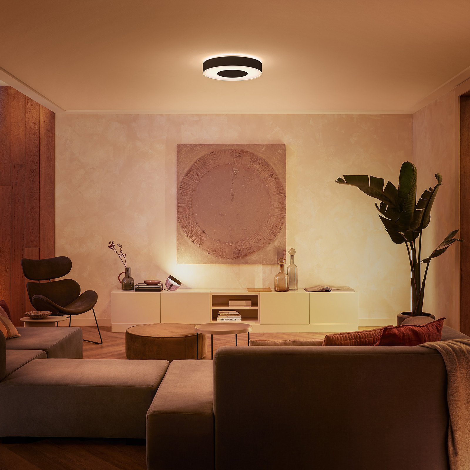 Infuse LED-Deckenleuchte 42,5cm, schwarz, dim. - Philips Hue