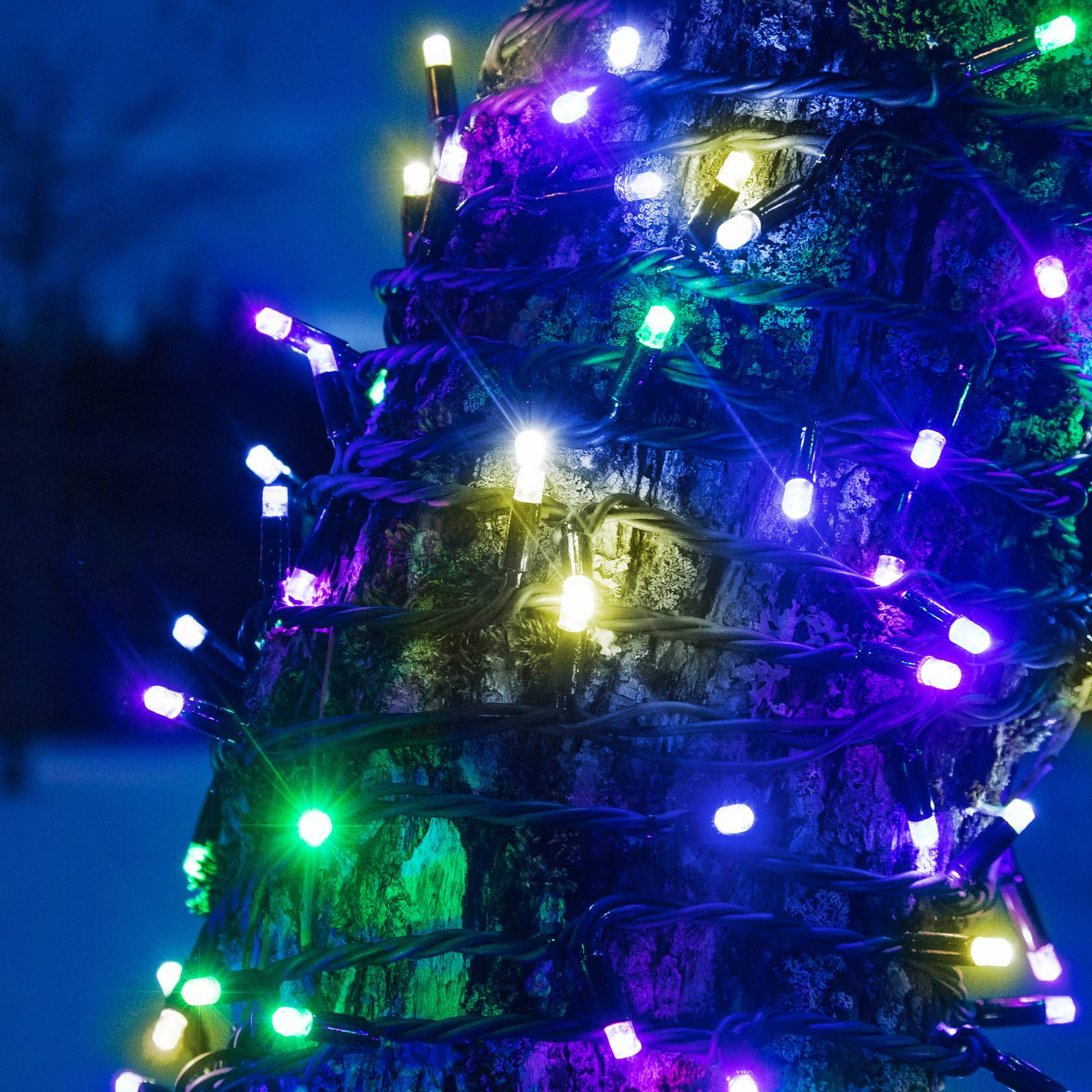 Markslöjd Světelný řetěz Chrissline Extra 50 LED multicolour