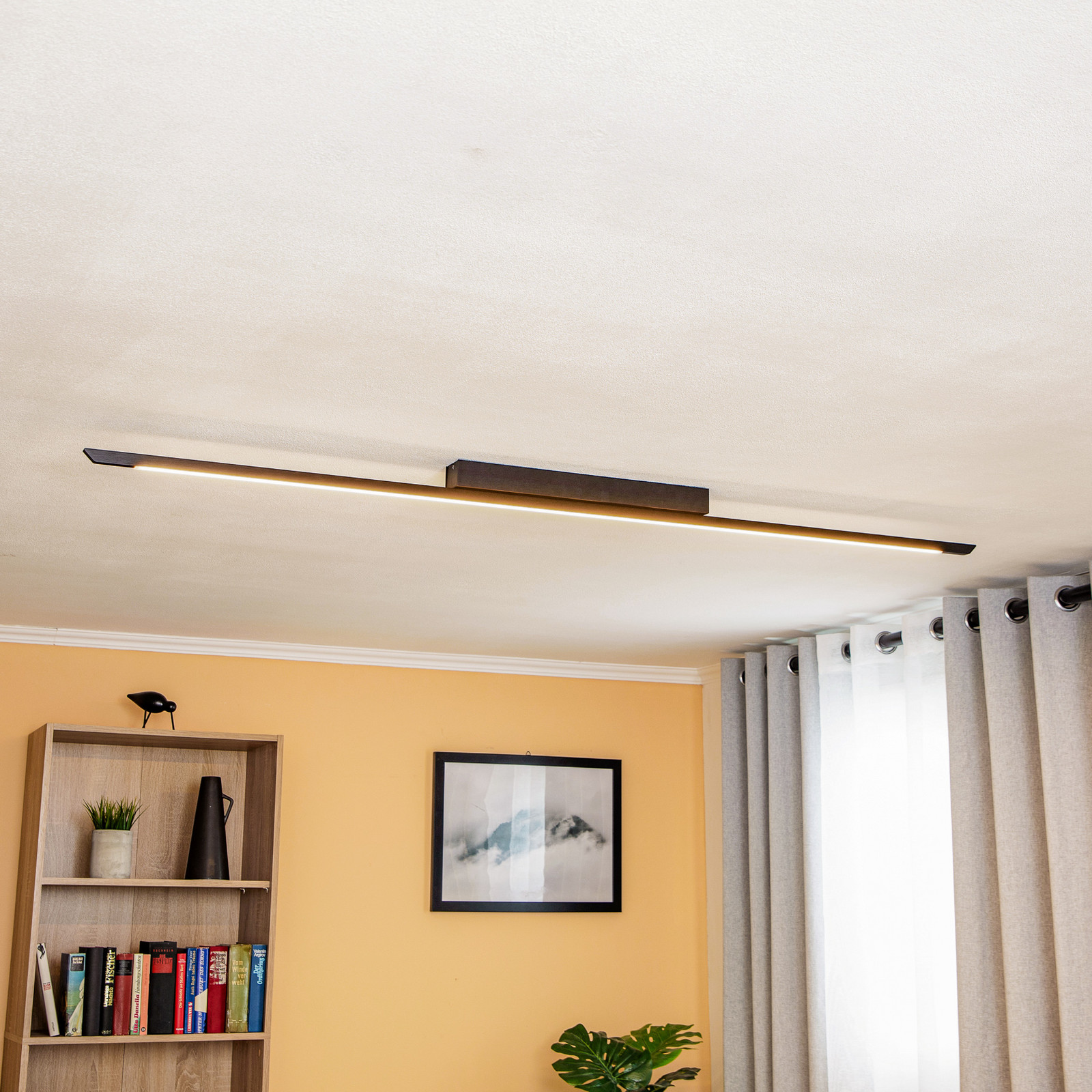 Quitani Niara LED plafonieră cu LED negru anodizat - Hol - modern - anodizat negru - Aluminiu