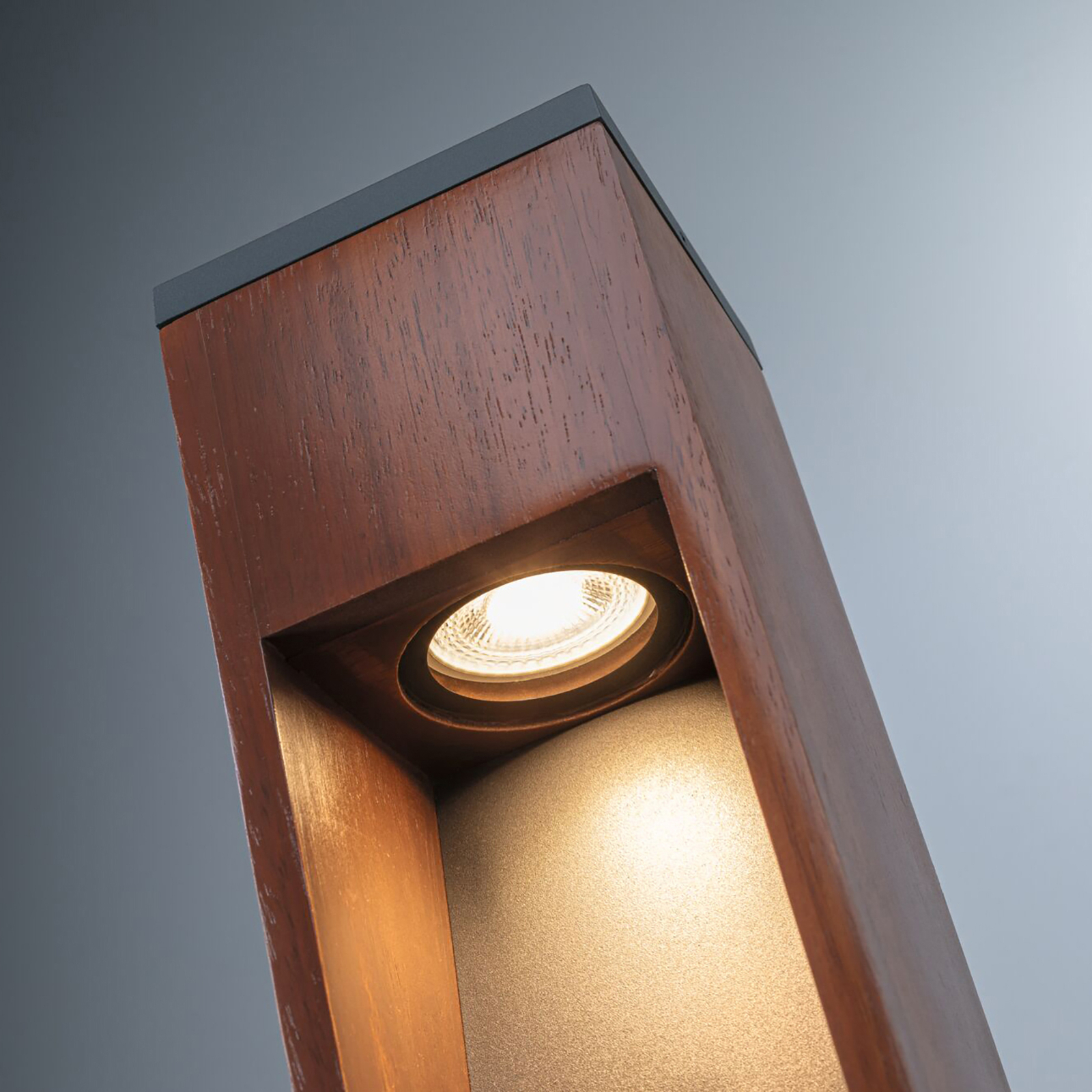 Trabia Garden Lamp H60 Wood - Paulmann
