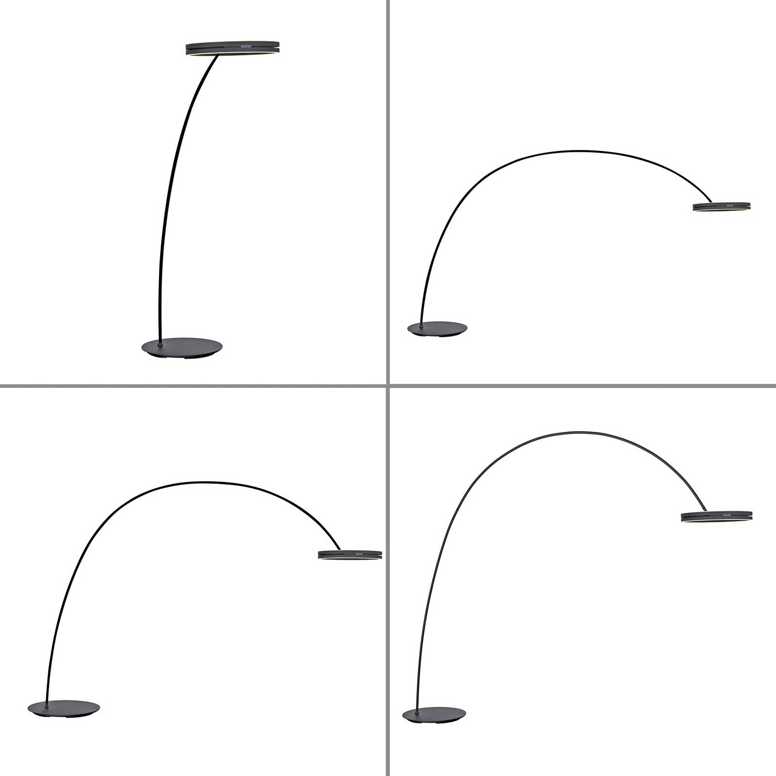 Lampa stojąca LED PURE Loop-Bow, czarna, zasięg 290 cm, CCT
