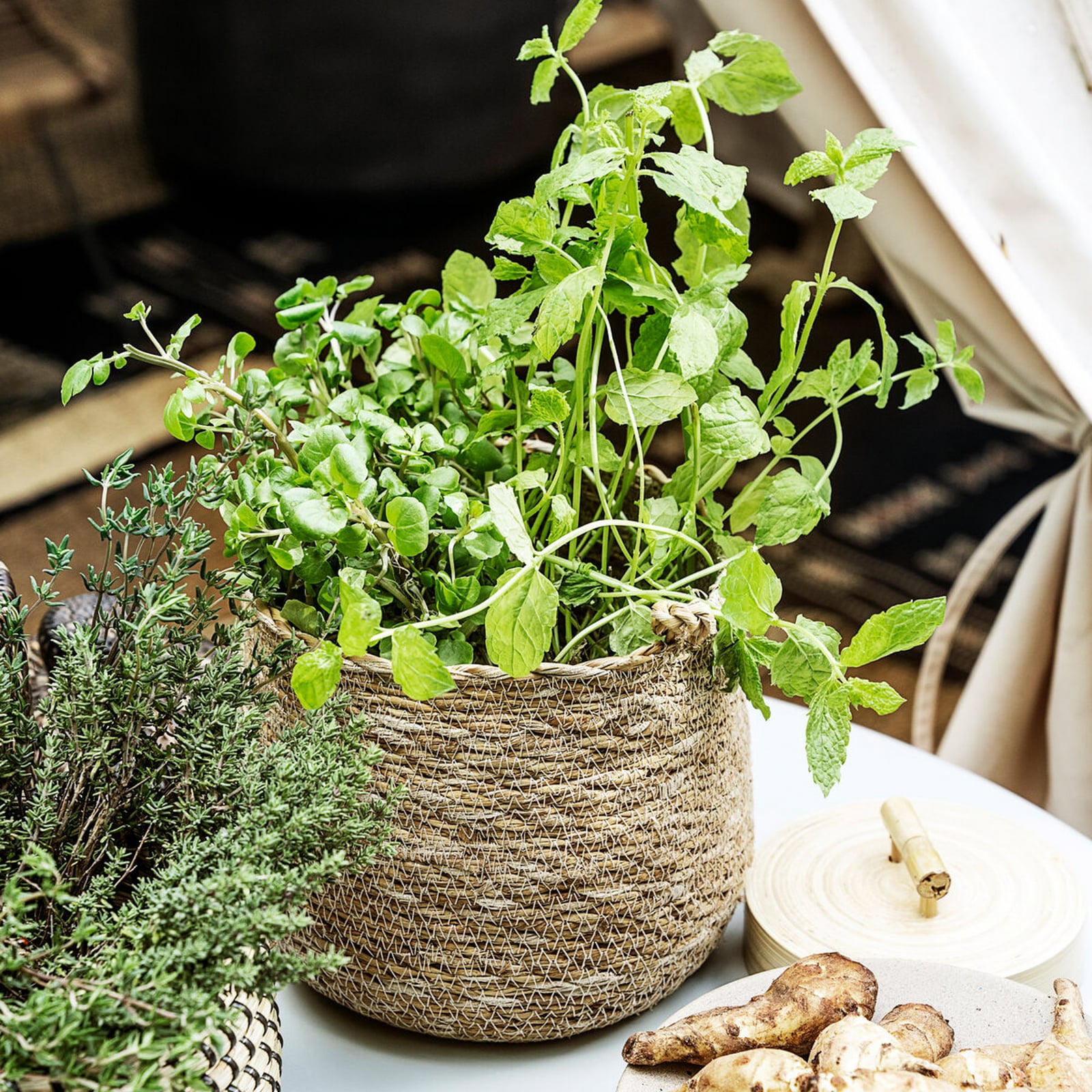 Cestino portaoggetti HDHang, alghe marine, 16 x 18 cm - House Doctor