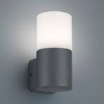 Buitenwandlamp Hoosic 1-lamp, antraciet