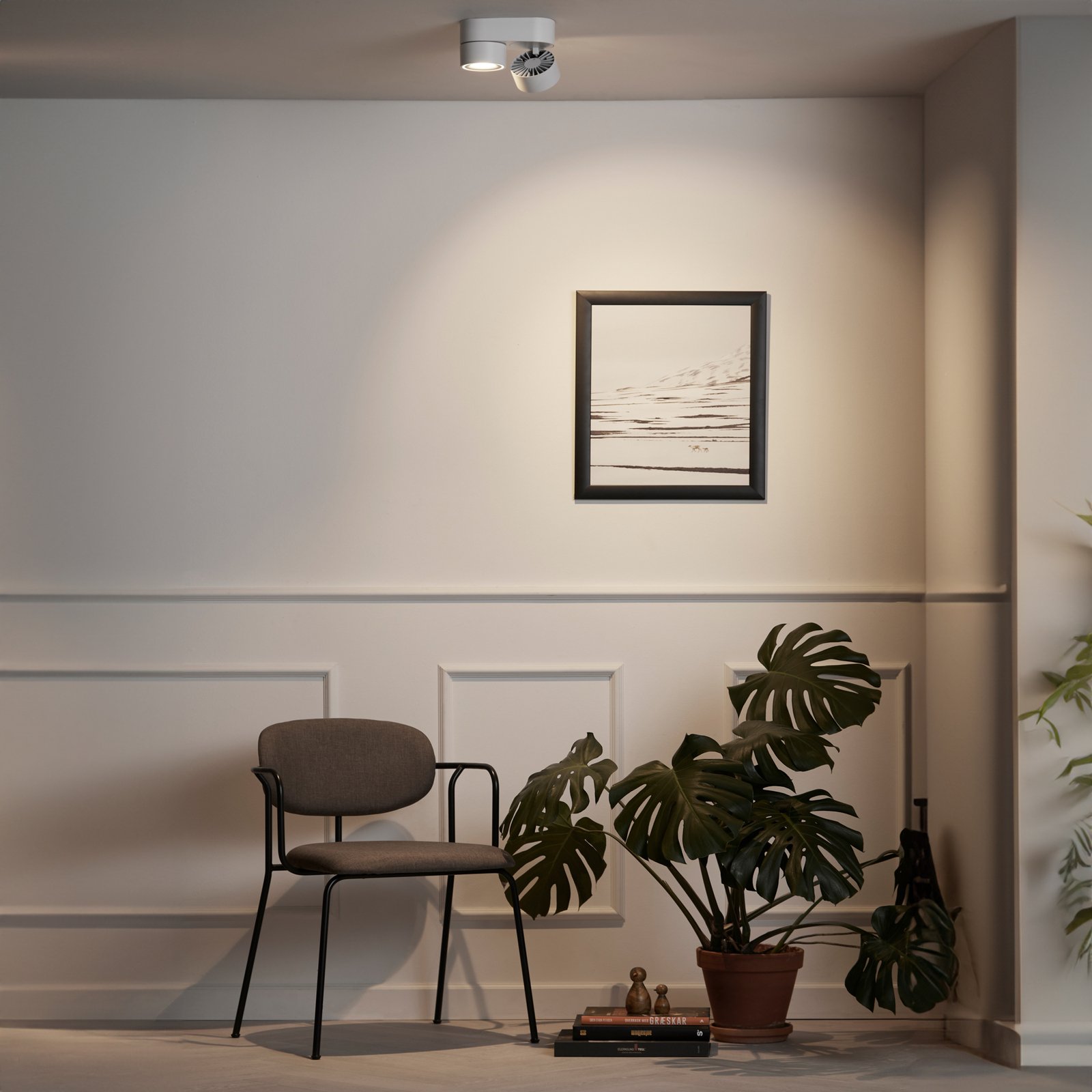 Aim Double Spot White - Loom Design