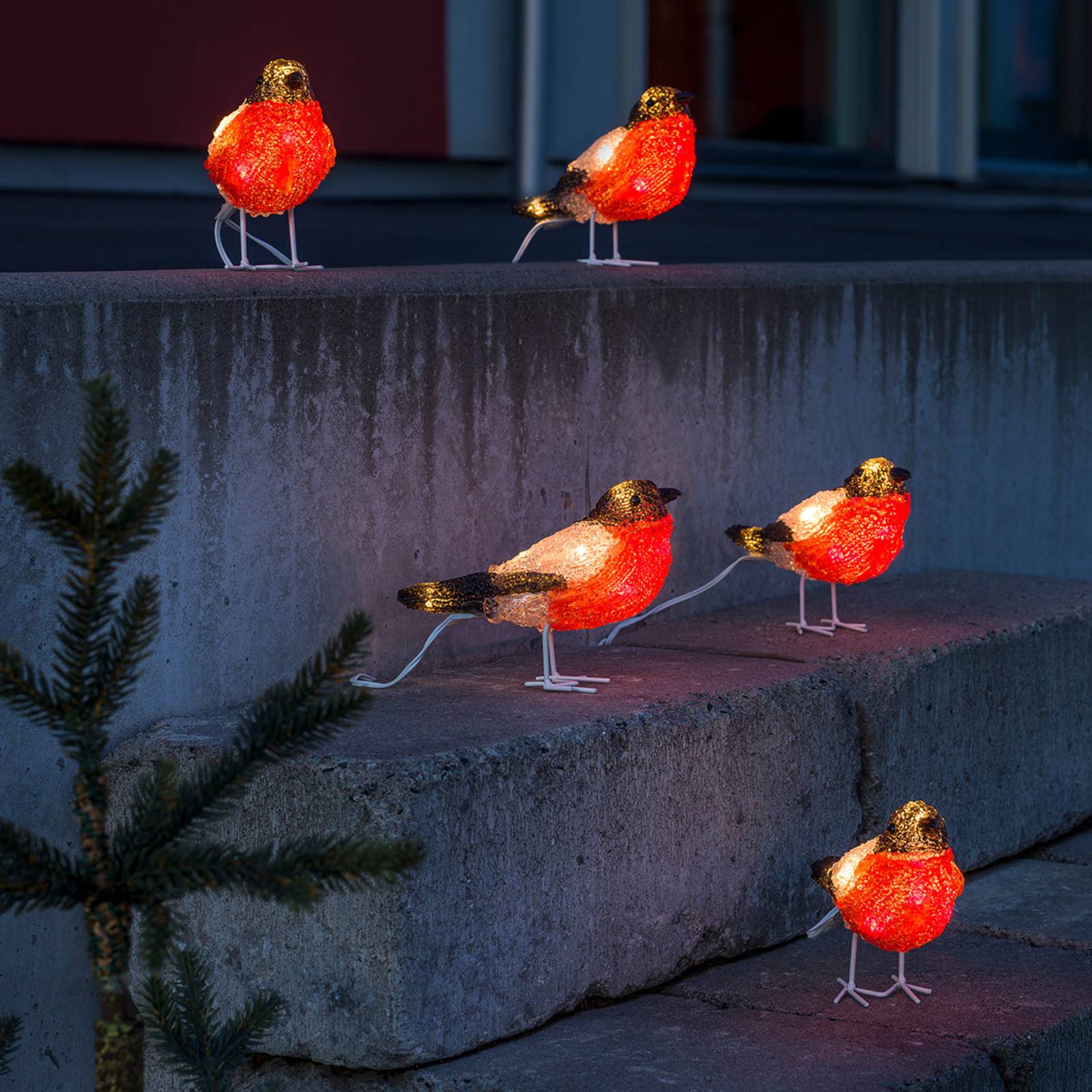 Konstsmide Christmas Set de 5 figurines LED acrylique Rouge-gorge