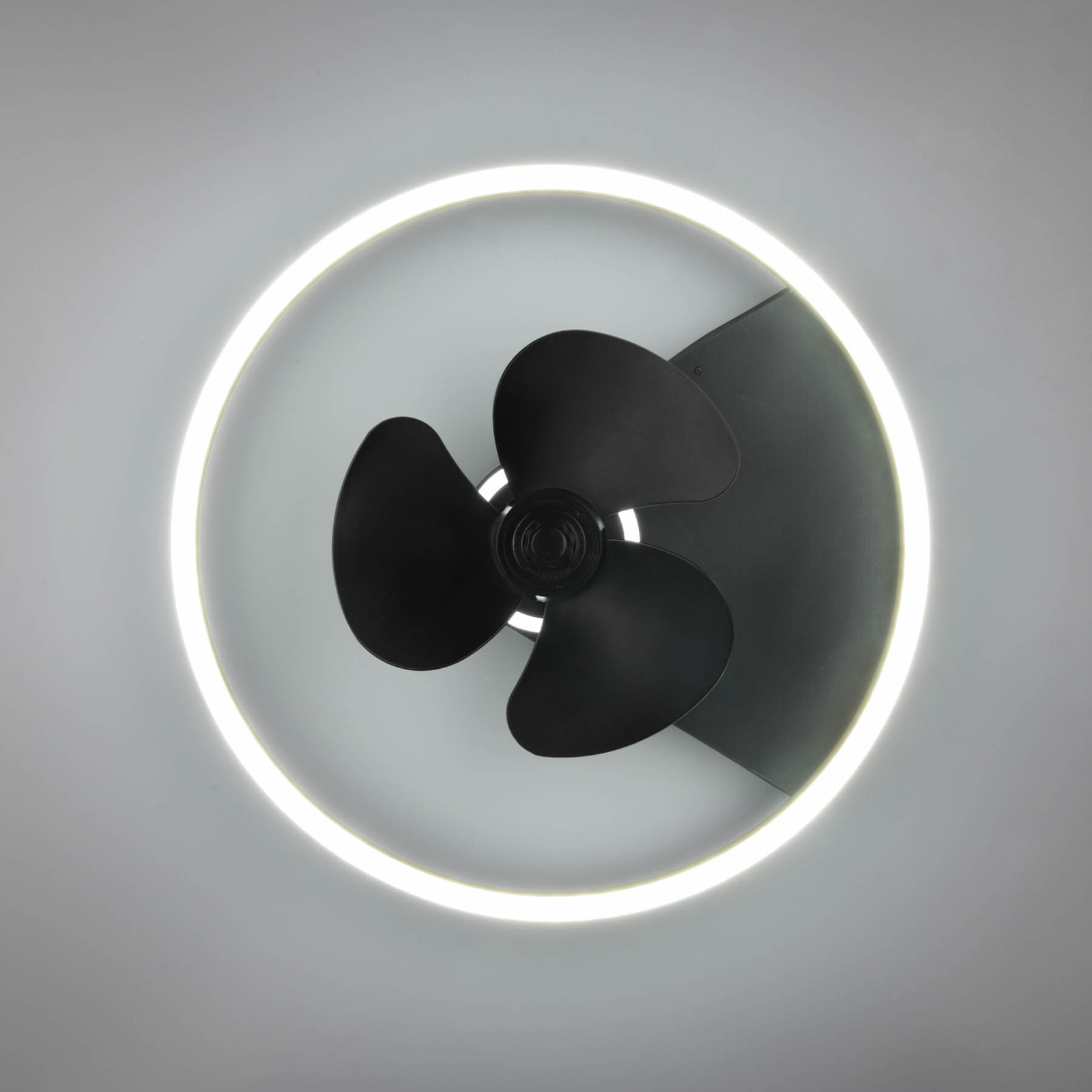 Plafondventilator Borgholm met LEDs, CCT, zwart