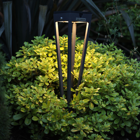 LED-Solarfackel Tinka mit Erdspieß, 52 cm hoch