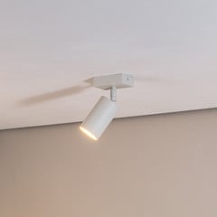 Downlight Sado blanco acero, orientable 1 luz angular