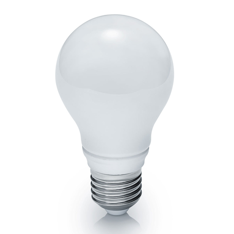 Lucky niet voldoende bodem LED lamp E27 10W dimbaar, lichttemperatuur warmwit | Lampen24.nl