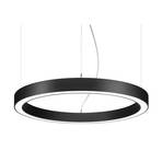 BRUMBERG Biro Cirkel Ring direct 75cm 40W aan/uit zwart 830