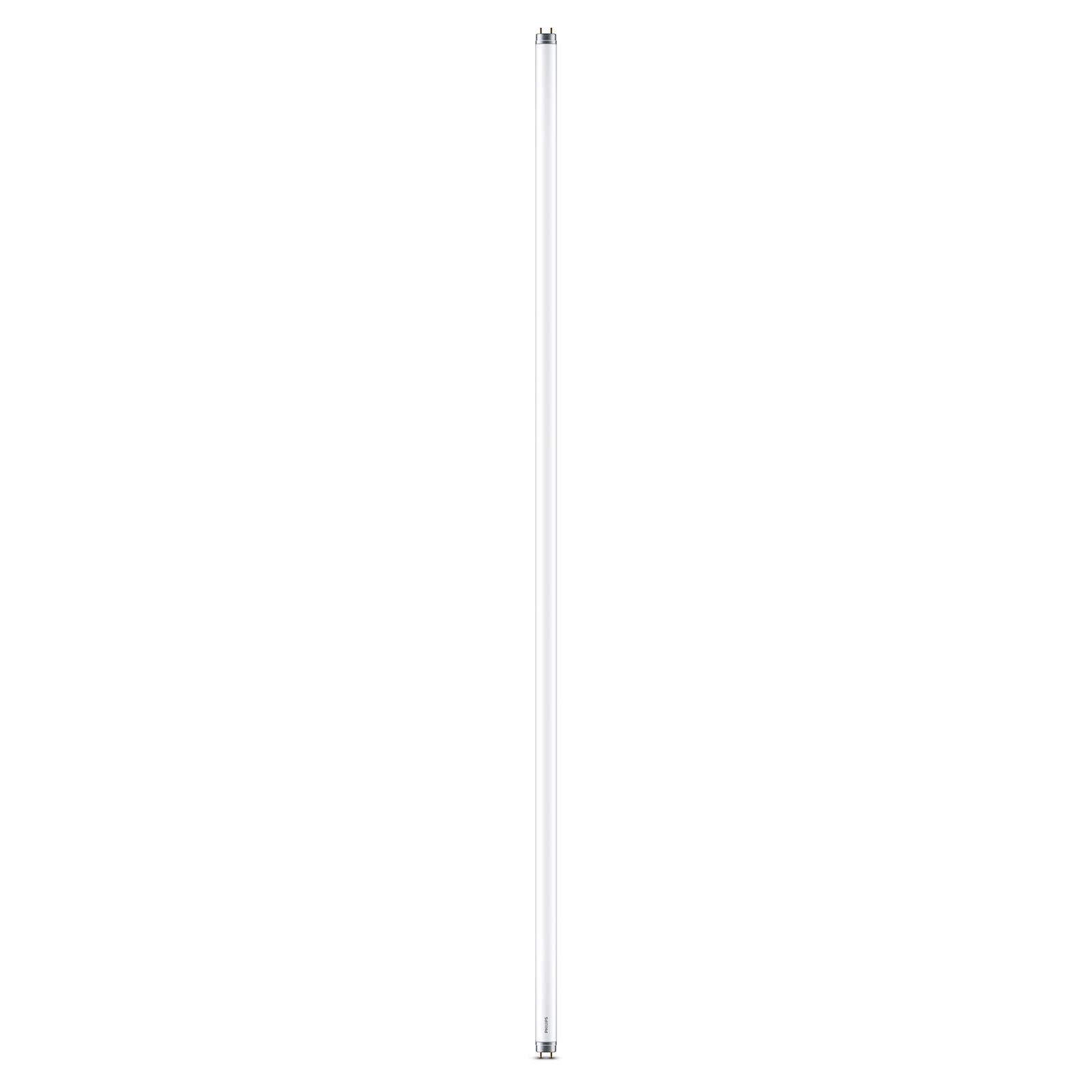 Philips LED-Tube T8 G13 120 cm 16W 3.000K 2.000lm, G13, 16 W, classe energetica: F, lunghezza: 121.2 cm