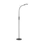 LED office floor lamp Office Remote, black, dimmable, CCT