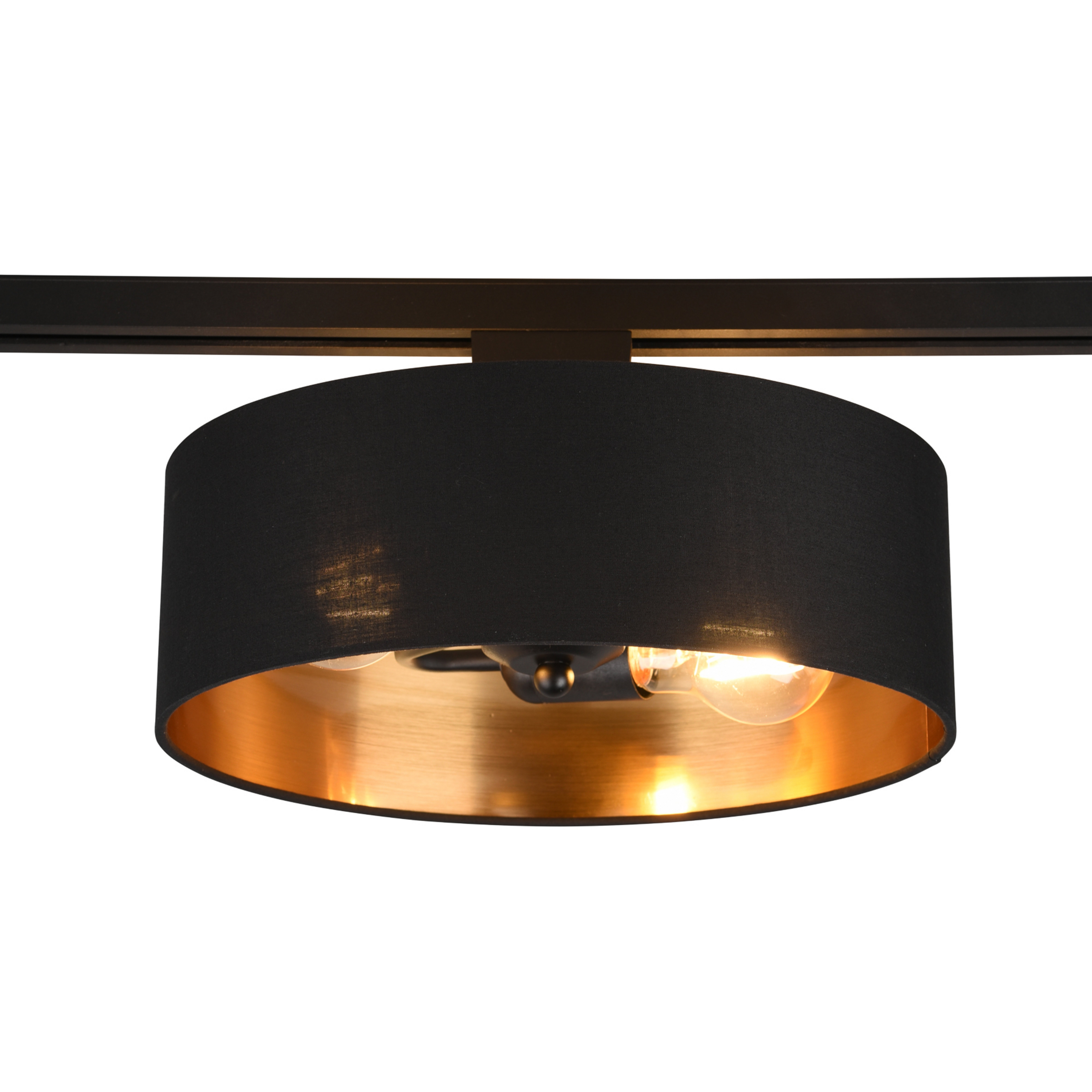 Schienenleuchte Hostel für DUOline, schwarz-gold, E27