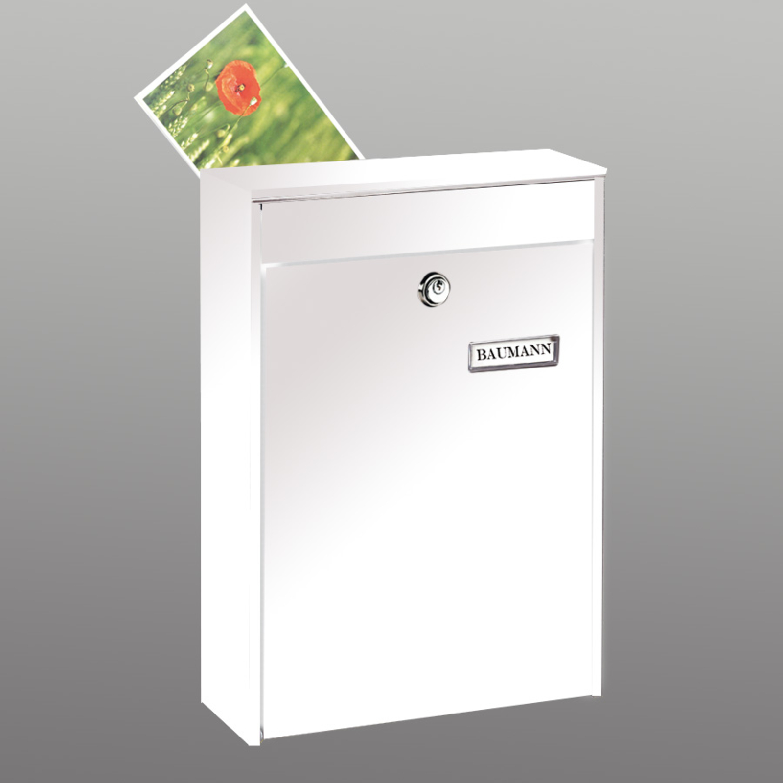 Zaunbriefkasten Leipzig 778 im Hochformat