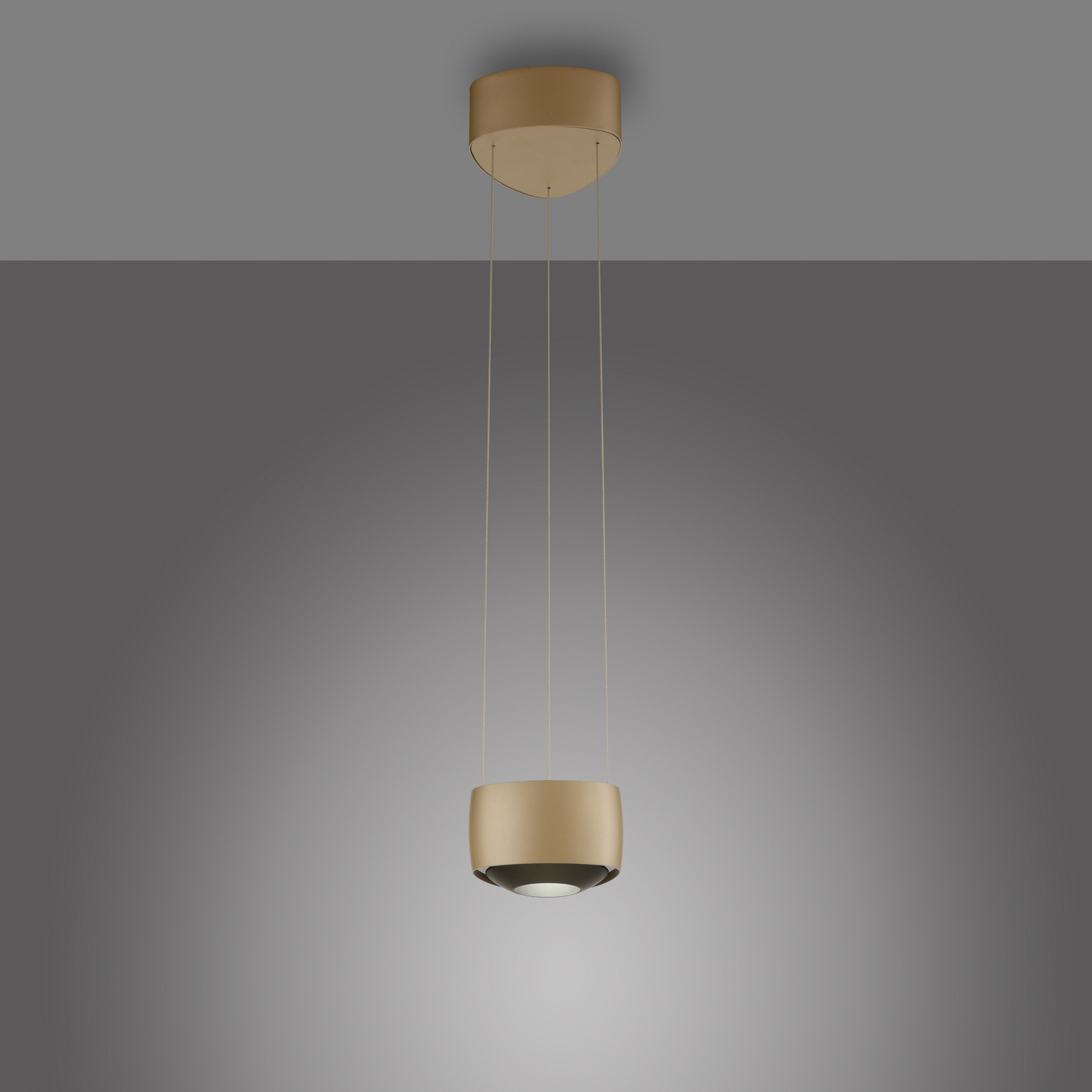 Lámpara colgante LED Q-Stretto de Paul Neuhaus, bronce, 14,5 cm