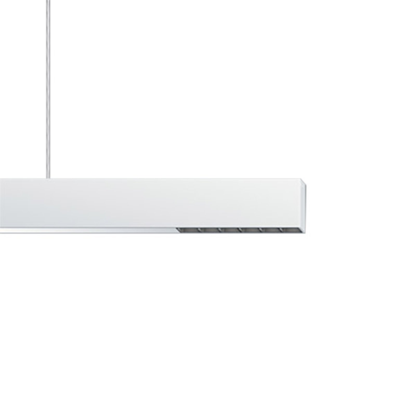 ERCO Compar Pendelleuchte DALI up/down oval wide