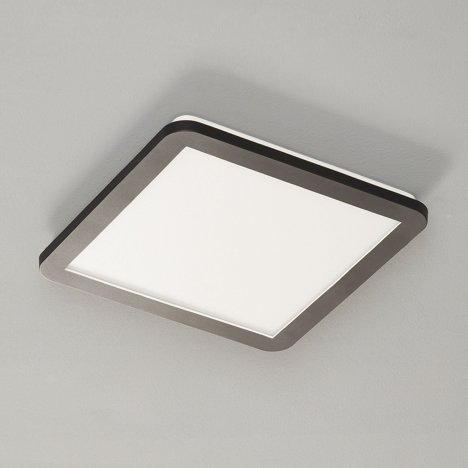 LED stropní svítidlo Camillus, čtverec, 30 cm