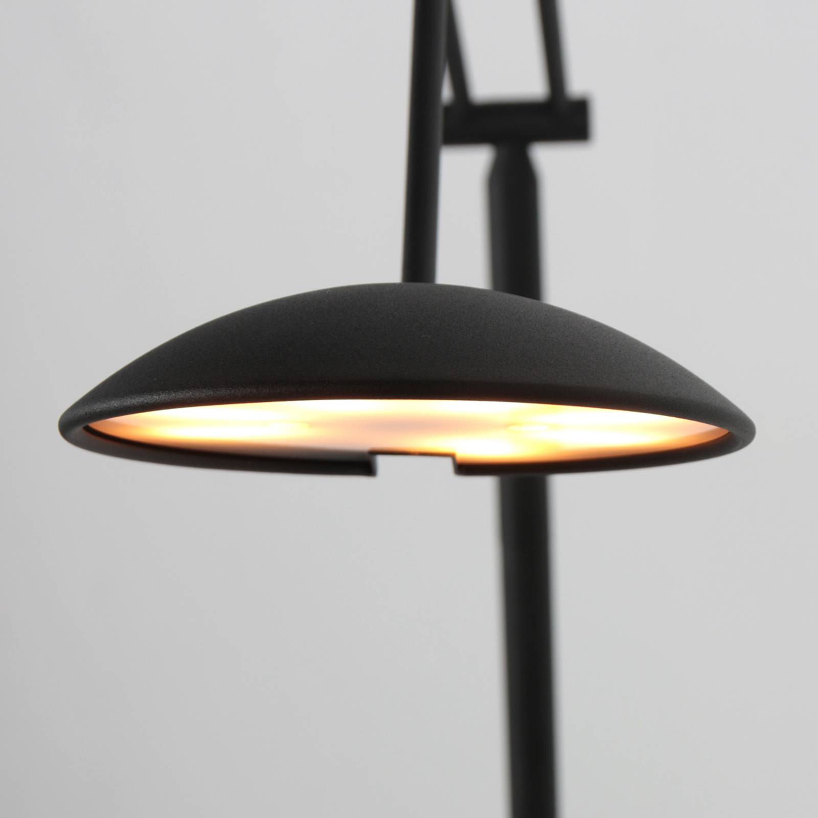 Lampa stojąca LED Daphne 2, 1-punktowa, czarna, CCT, pilot