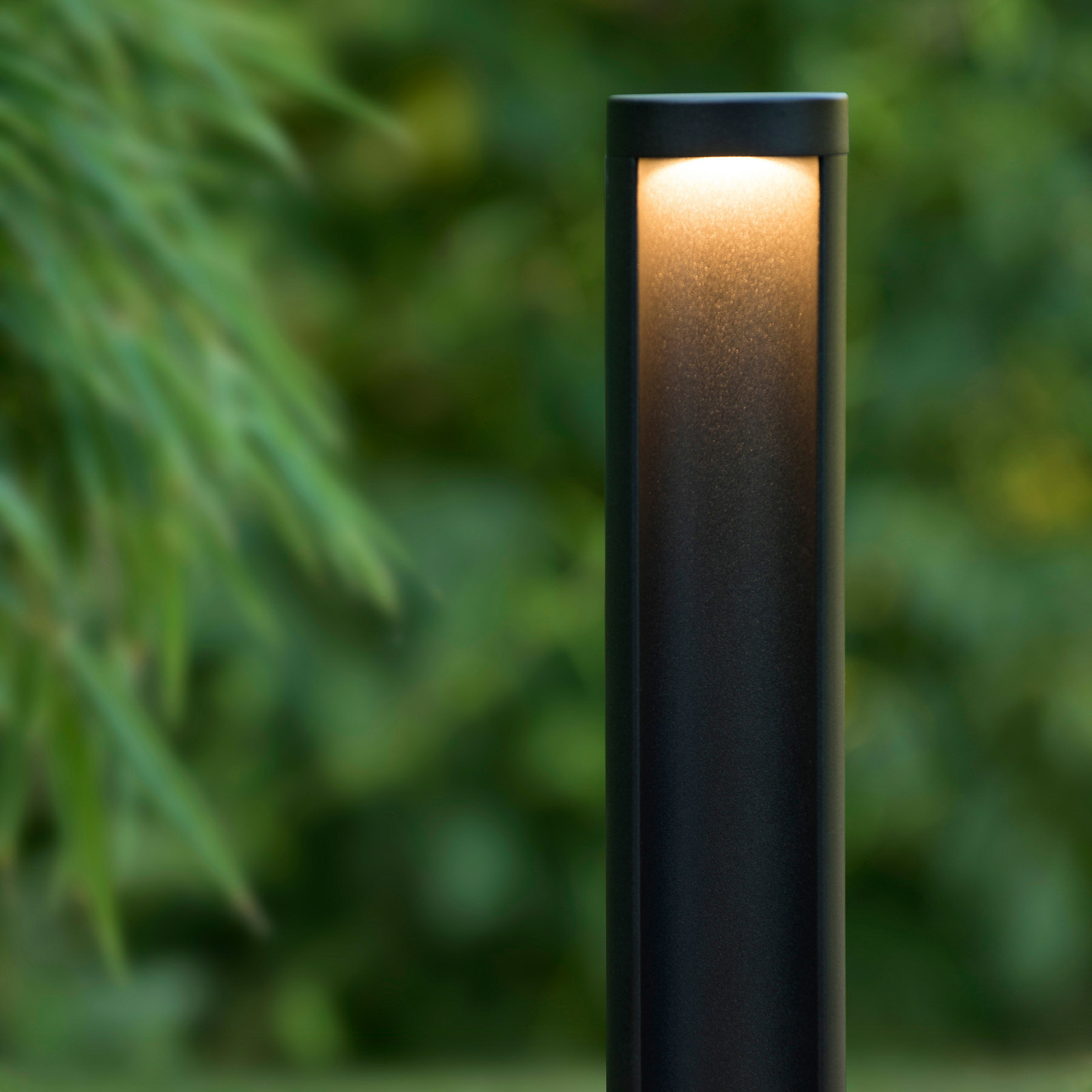 LED pedestal light Combo in cylinder shape, 45 cm