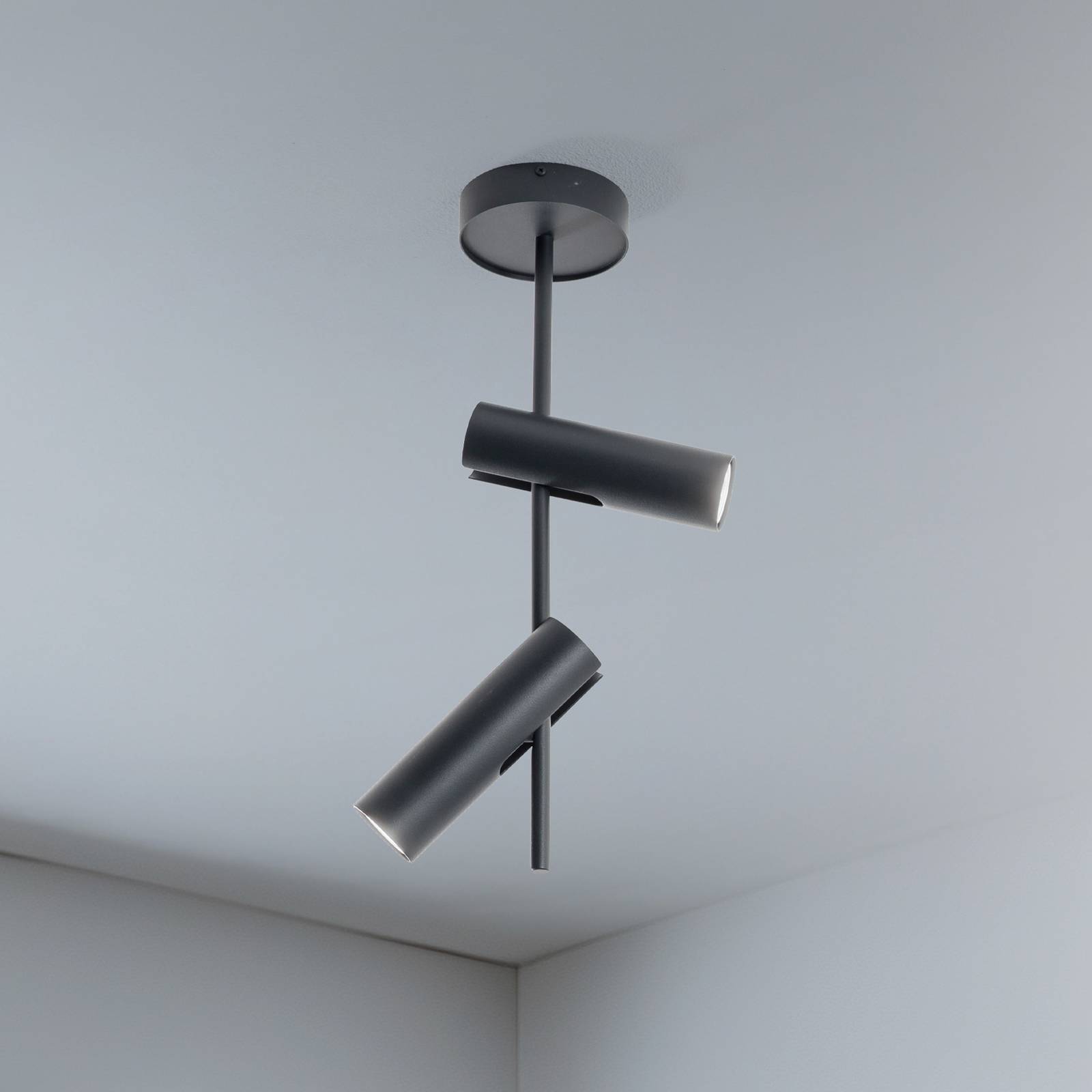 Deckenspot Leda 2, anthrazit, 2-flammig, Stahl, Höhe 55 cm günstig online kaufen