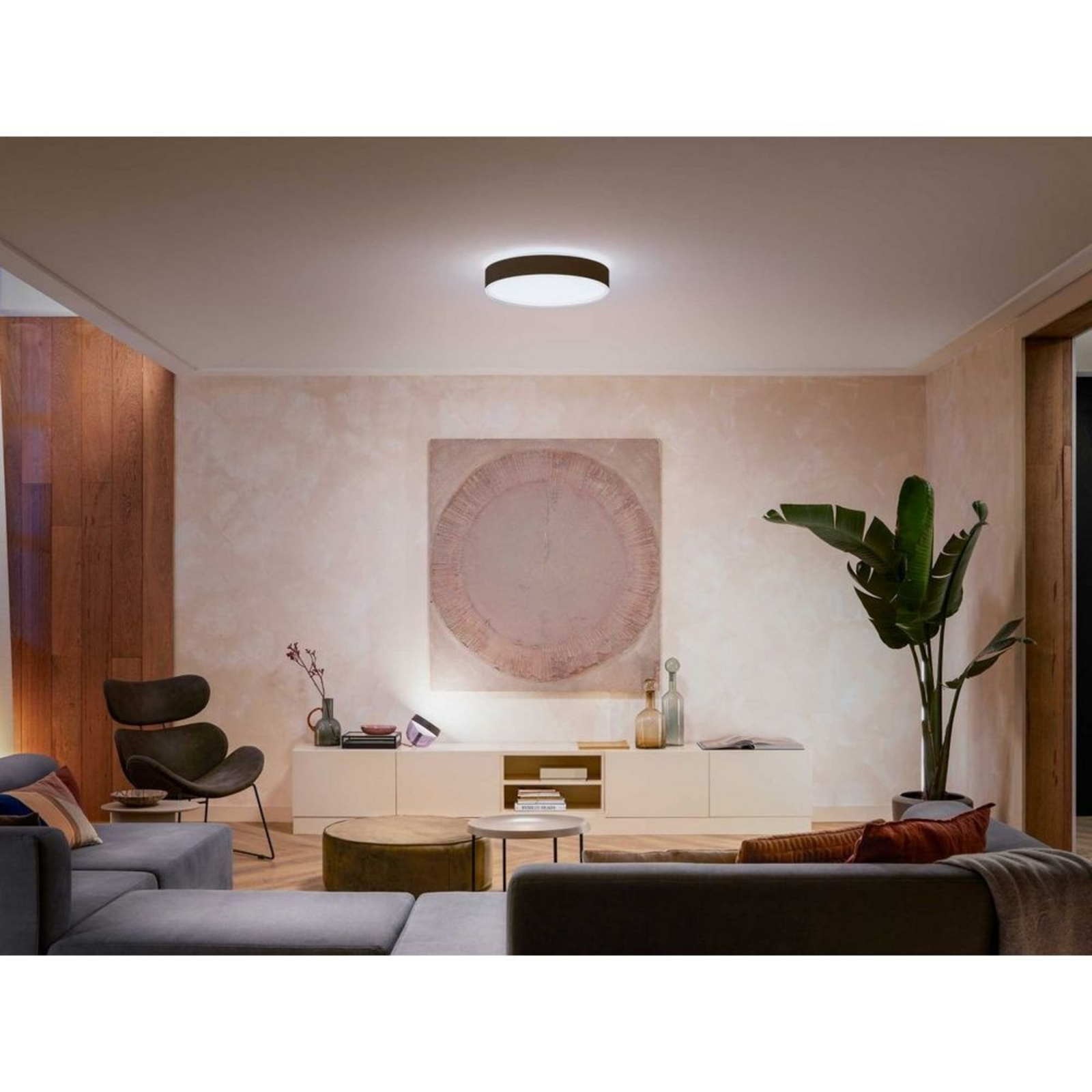 Hue Enrave L Plafonieră White Amb. Black - Philips Hue