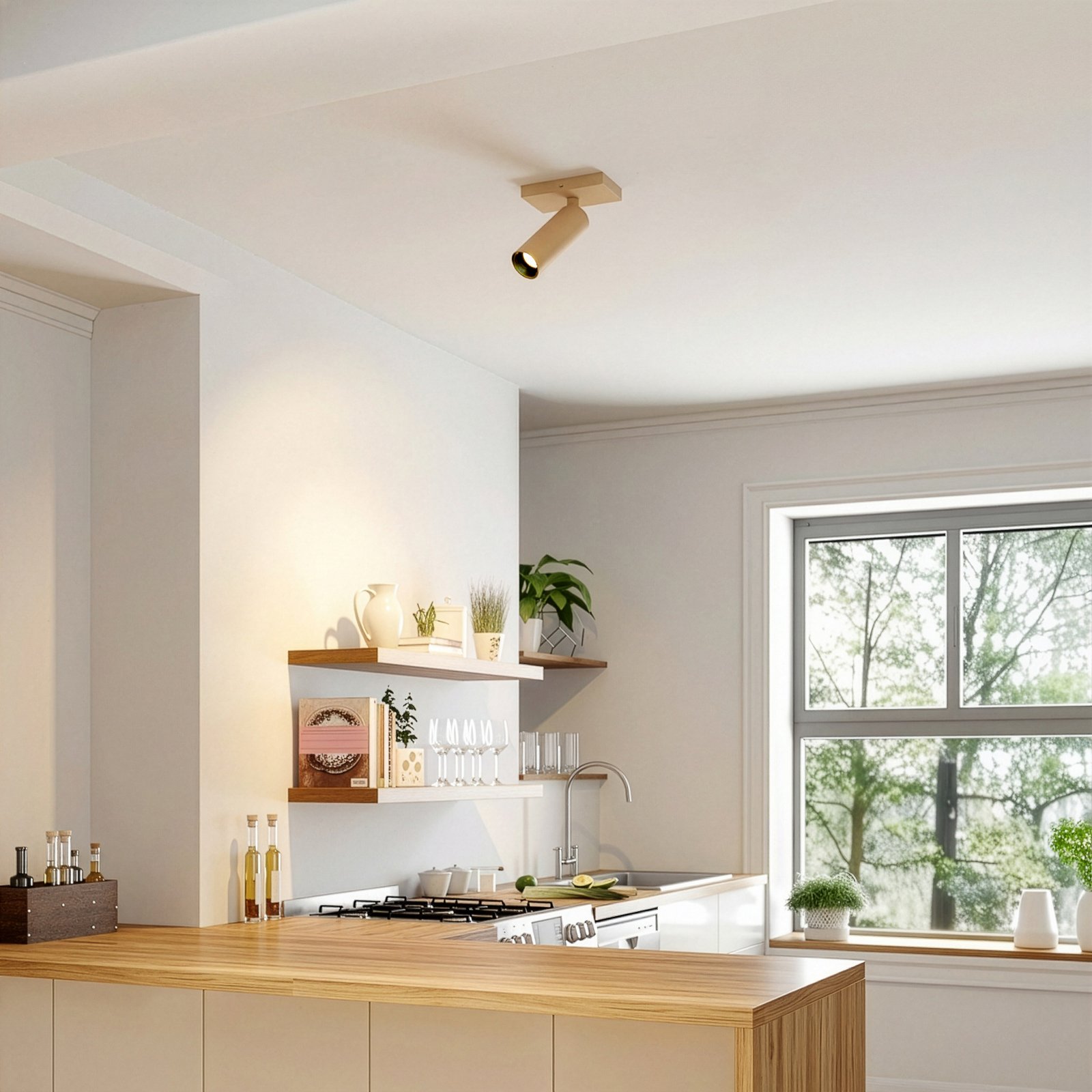 Brinja Slim stropné bodové svetlo, 1-pl., kávová, GU10 MR11 - Arcchio Brinja Slim stropné bodové svetlo, 1-pl., kávová, GU10 MR11 - Arcchio