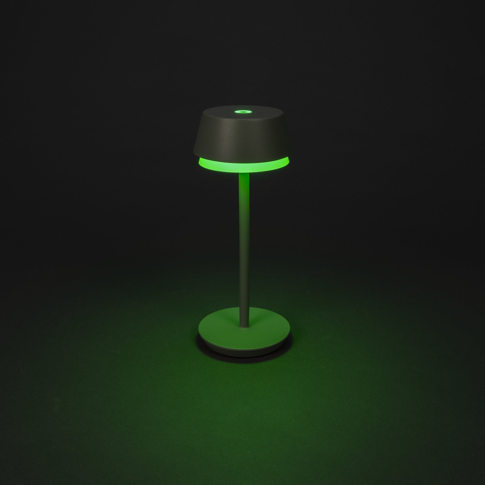 Lampe de table LED à accu Lyon, vert/gris, IP54, variateur d'intensité,