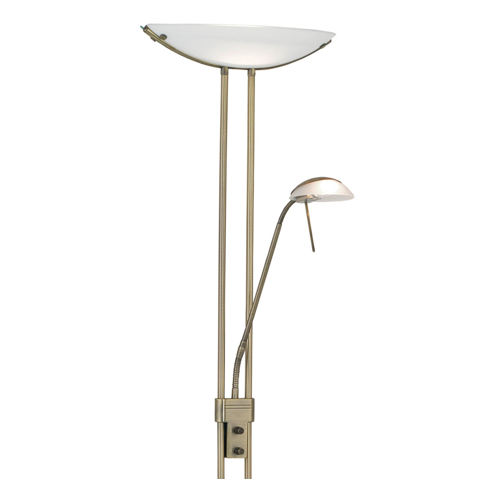 Elegant Floor Lamp Baya burnished