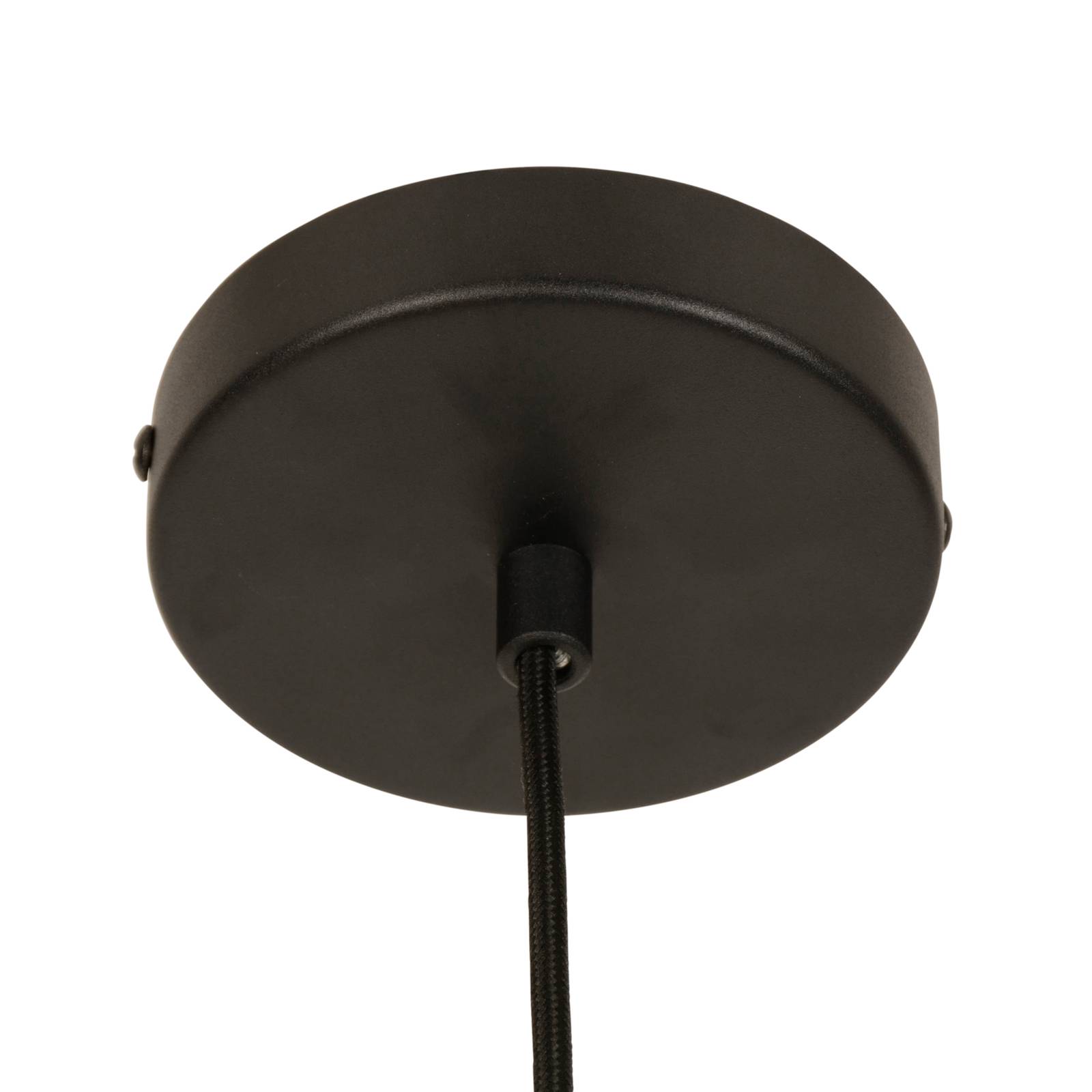 Forestier Parrot żyrandol XL, zielony
