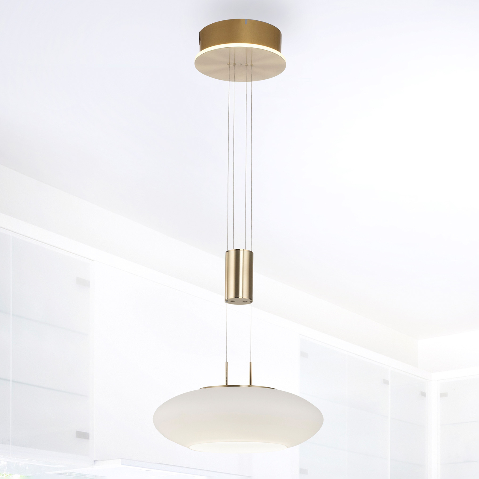 Paul Neuhaus Q-ETIENNE LED hanging 1-bulb, brass