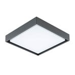 EVN Plafonieră LED pentru exterior Tectum, 24x24 cm, antracit, 110°