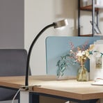 Lindby Jyla clip-on light, matt nickel, GX53, flexible arm