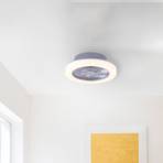Leonard LED ceiling fan Ø 50 cm, series switch