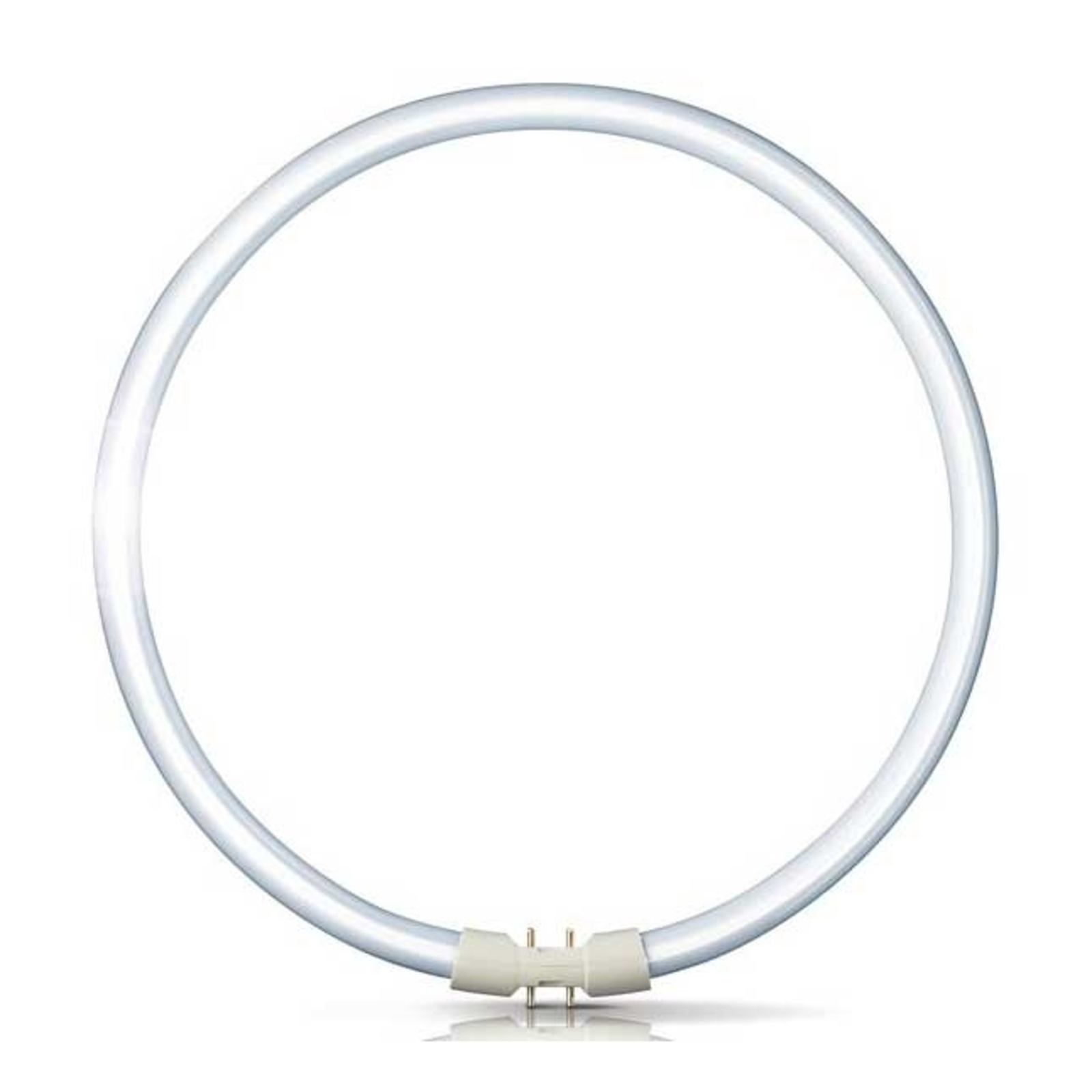 2GX13 60W 840 ring-lysstofrør Master TL5