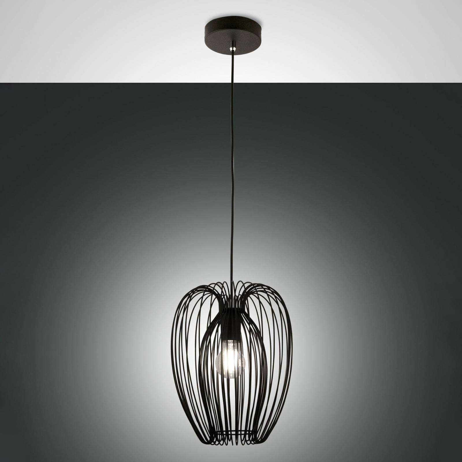 Lampa wisząca Camp, Ø 25 cm, czarna, druciany kosz