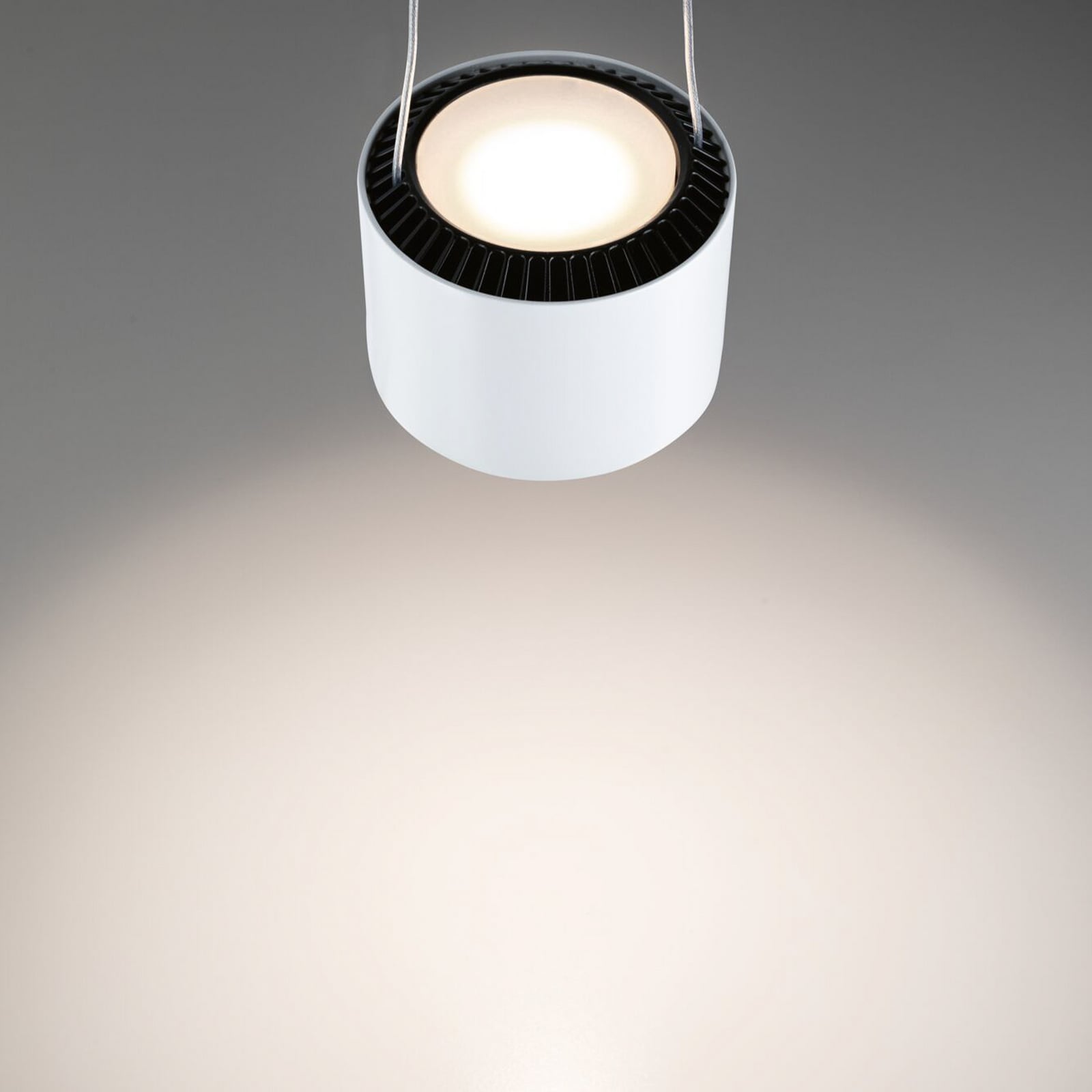 Paulmann URail LED hanglamp Aldan, signaalwit, 4.000K Paulmann URail LED hanglamp Aldan, signaalwit, 4.000K