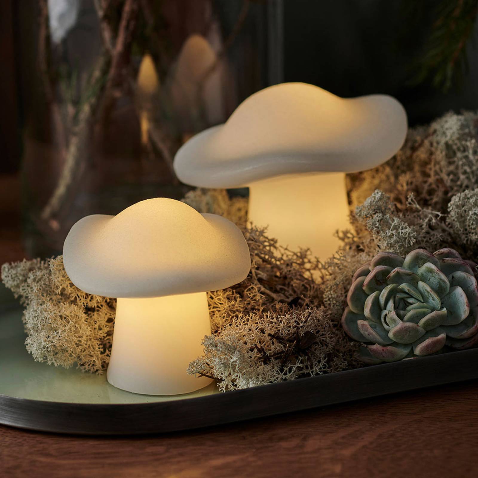 E-shop LED dekoratívne svetlo Mushroom set of 2