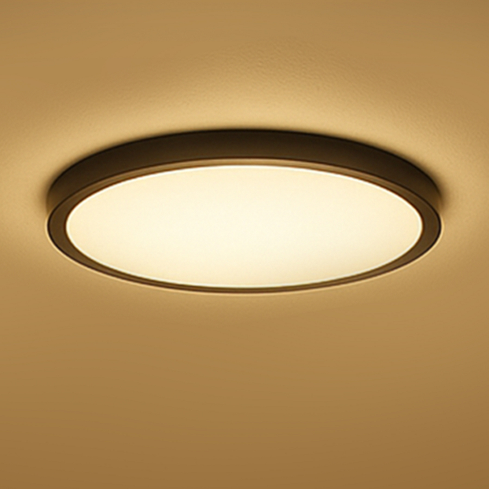 Calex Smart LED-Deckenlampe HALO Ø 40cm schwarz IP54 RGB CCT