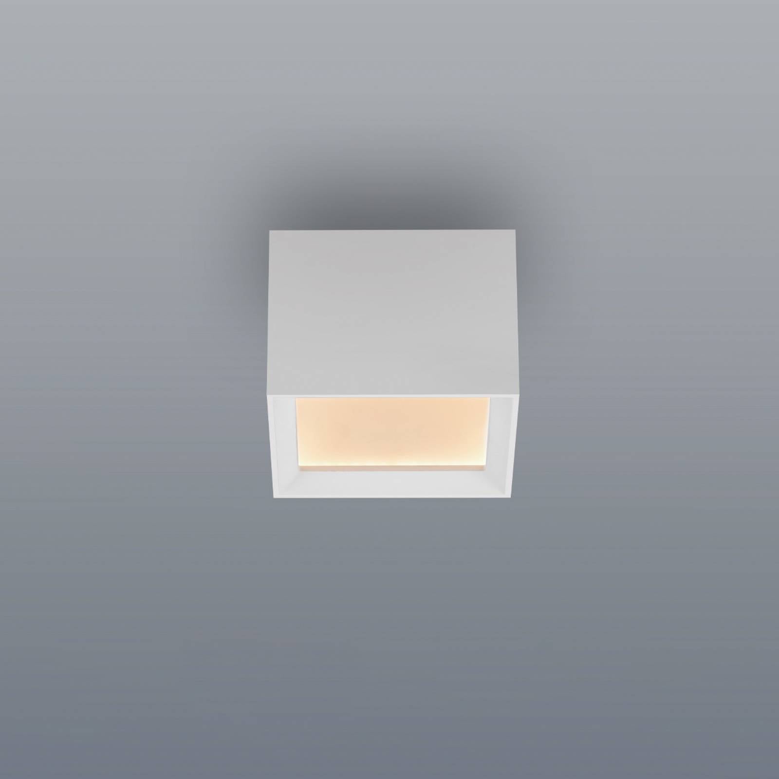 LED-taklampe PURE Manhattan, snøhvit, 1 lyskilde, CCT