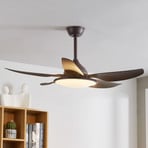 Starluna Kajima LED-Deckenventilator, kaffeebraun