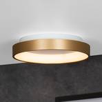 Vidal LED ceiling light, gold, Ø 28 cm, dimmable, acrylic