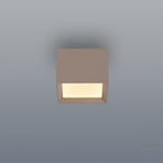 LED-stropna svetilka PURE Manhatten, bronasta, 1-žarilna, CCT
