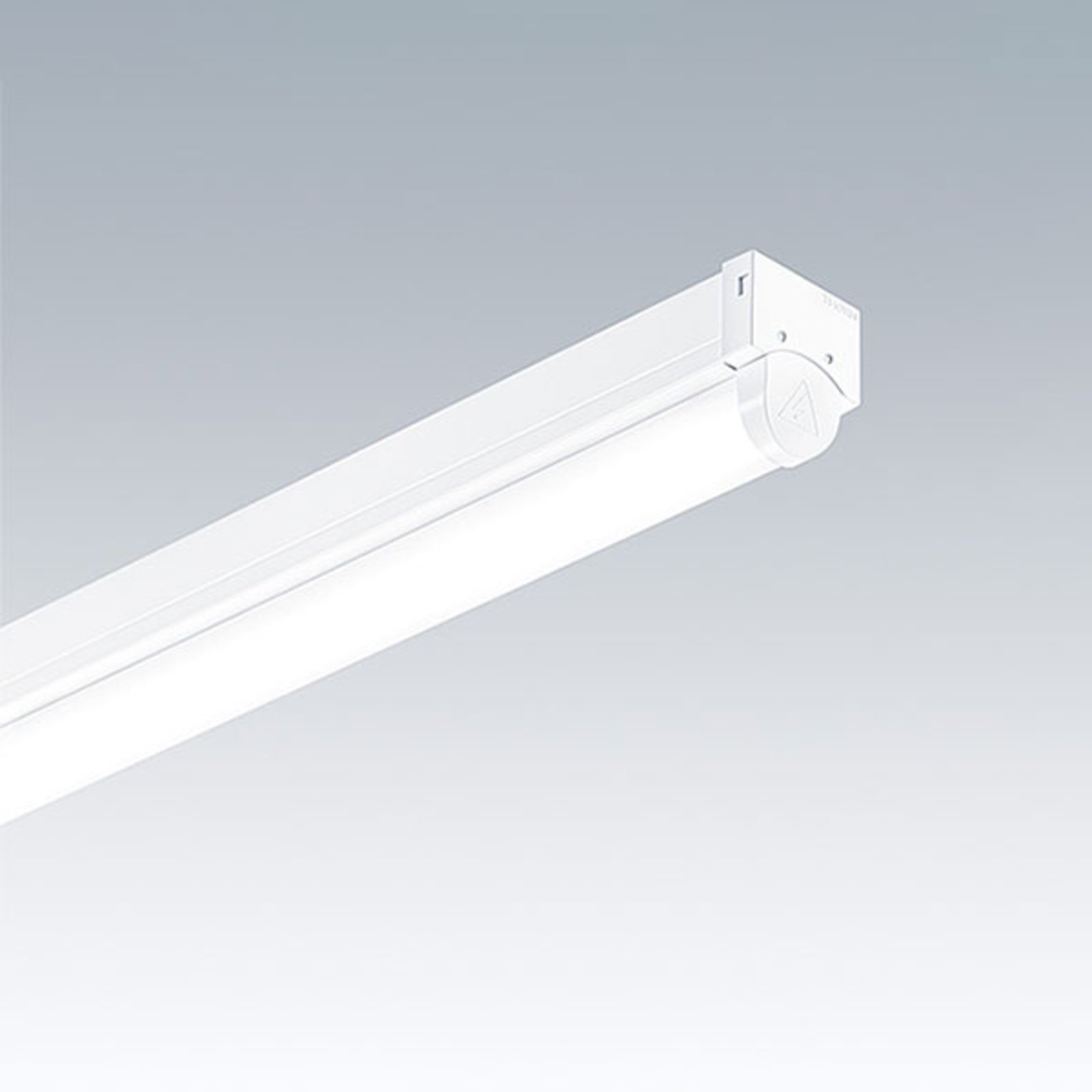 Thorn PopPack LED-Lichtleiste 145cm, 4.000K 64W