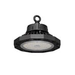 BRUMBERG Sol LED high-bay spotlight, DALI-2