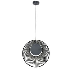 Oyster Pendant Black - Forestier