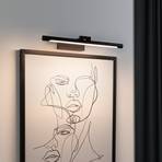Paulmann Mingo LED светлина за картини 41,5 см черна