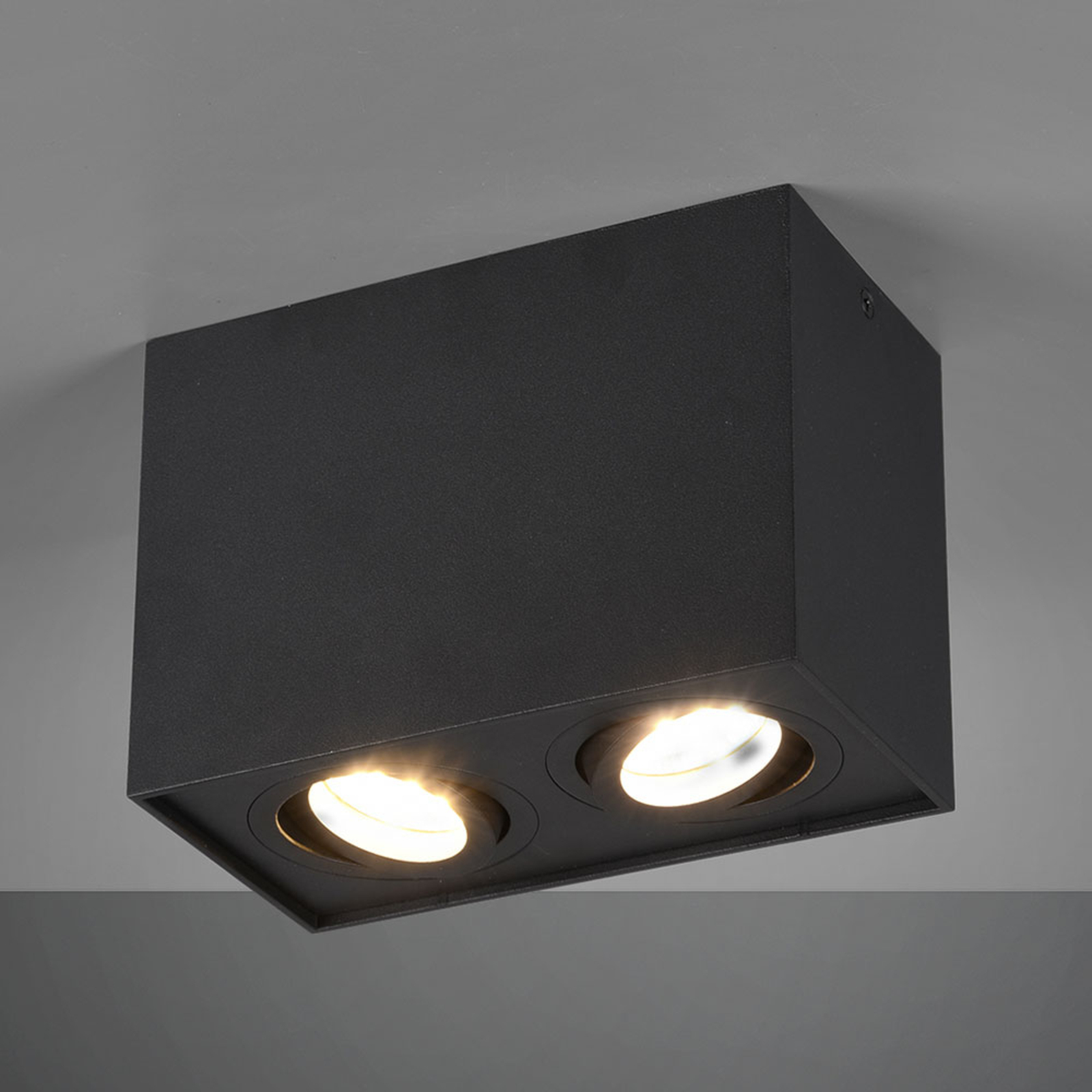 Lámpara de techo Biscuit, 2 luces, negro