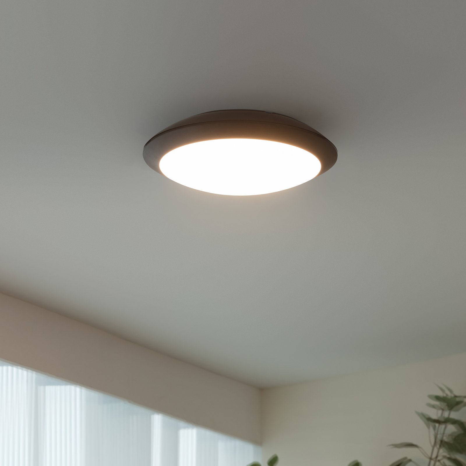 LED buiten plafondlamp Naira, grijs, m. sensor