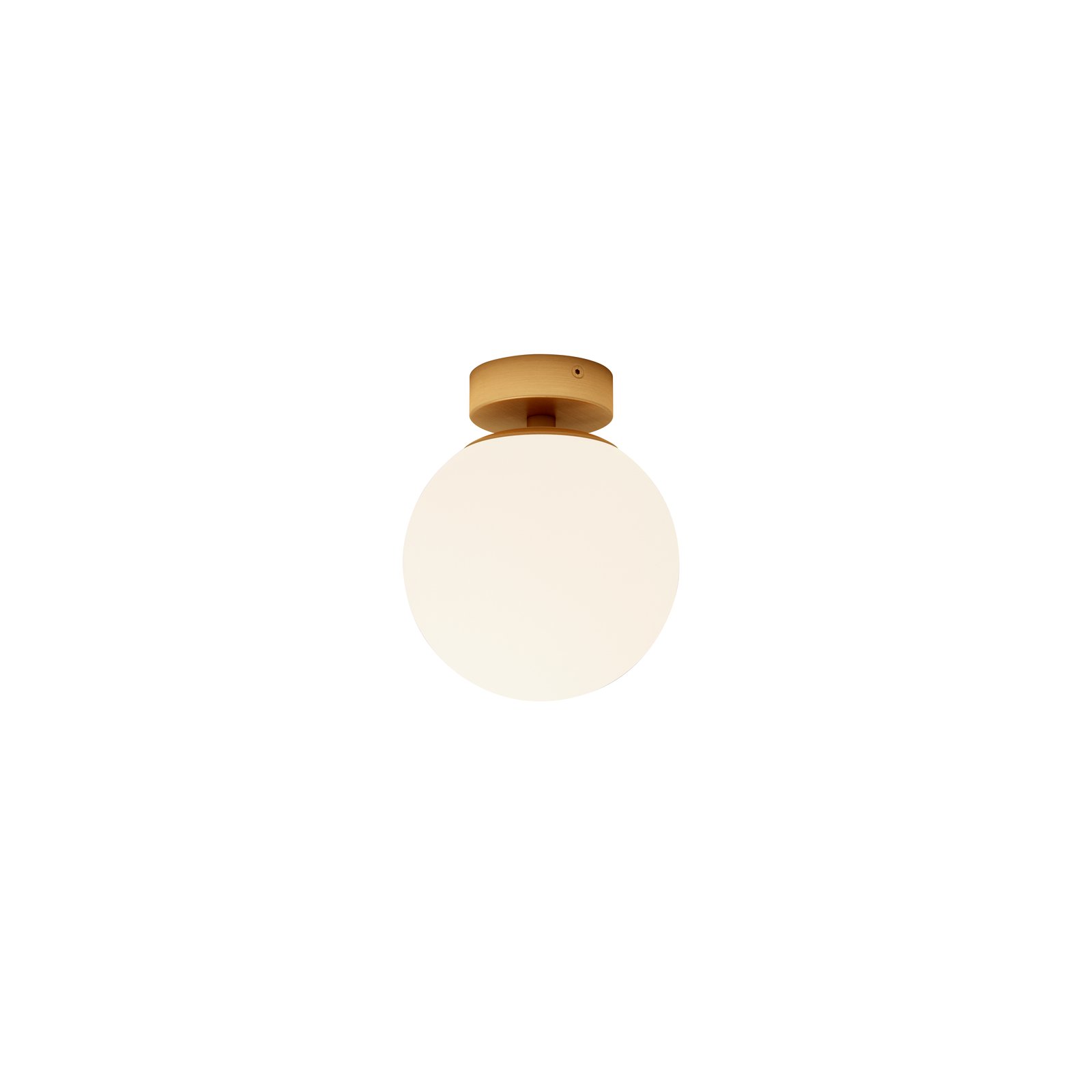 Lucande Bidolo ceiling lamp, brass-coloured, glass, 15 cm, IP44